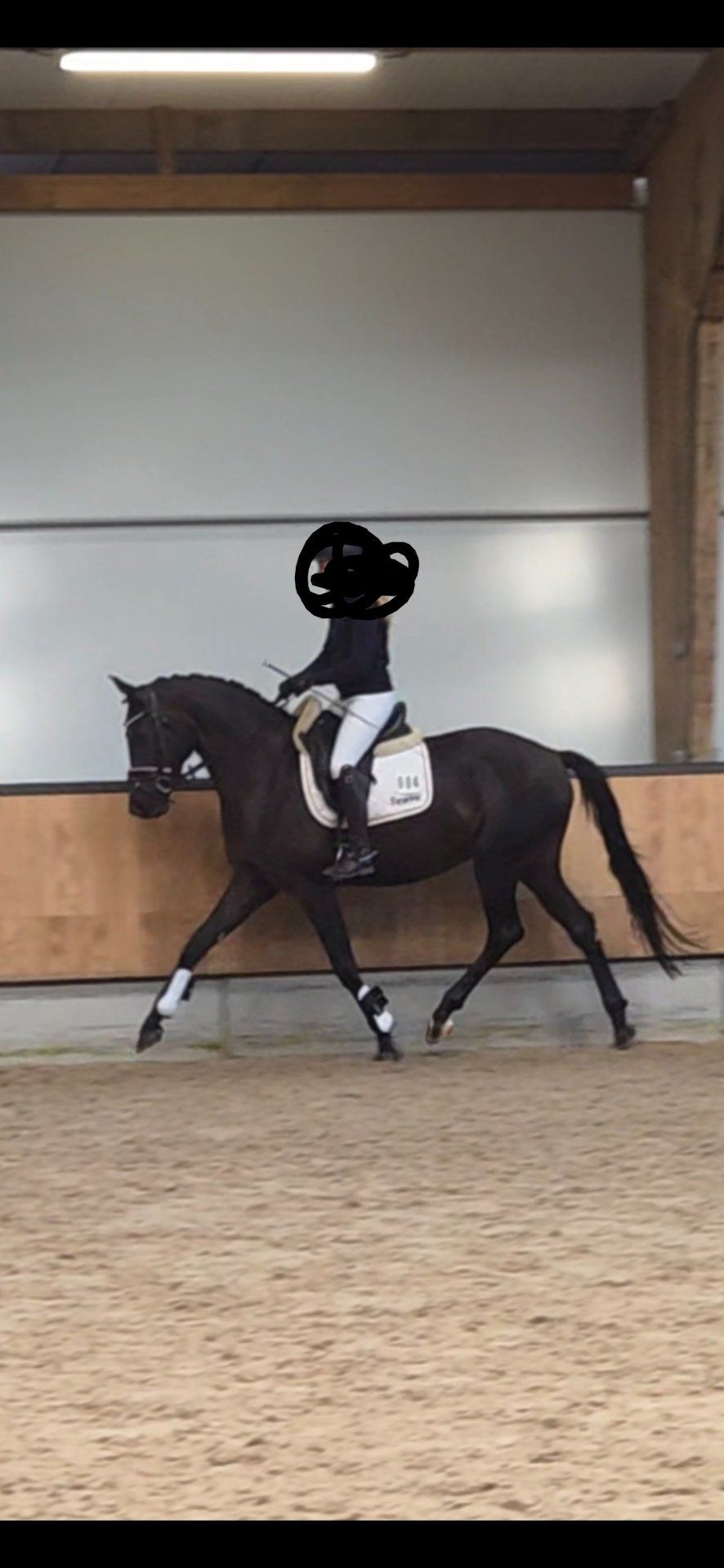 kwpn dressuurpaard merrie 3 ani zwart de vânzare - Foto 2