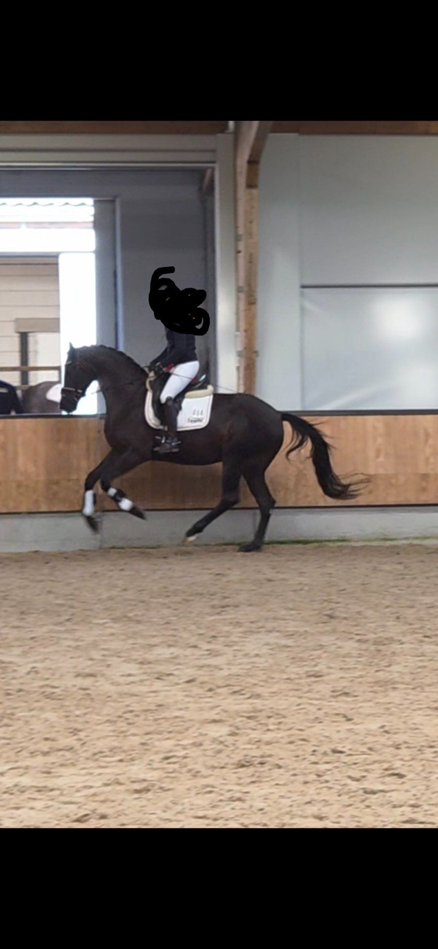 kwpn dressuurpaard merrie 3 ani zwart de vânzare - Foto 3