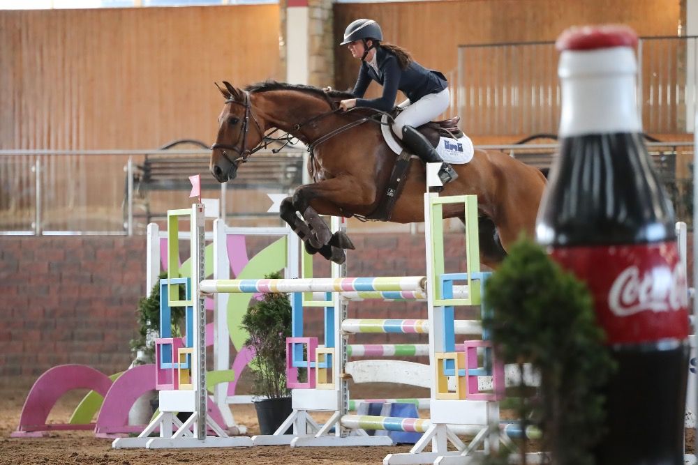 Iers sportpaard springpaard Ruin 9 jaar Bruin te koop - Foto 5