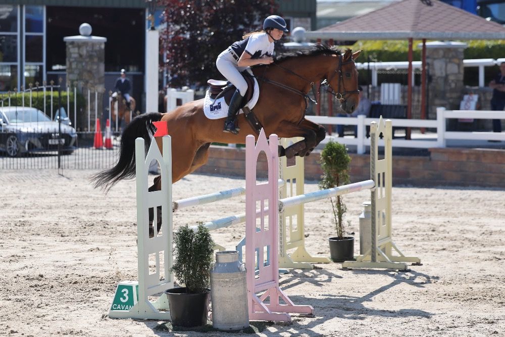 17.2 9 jaar oud 130 amateurs paard