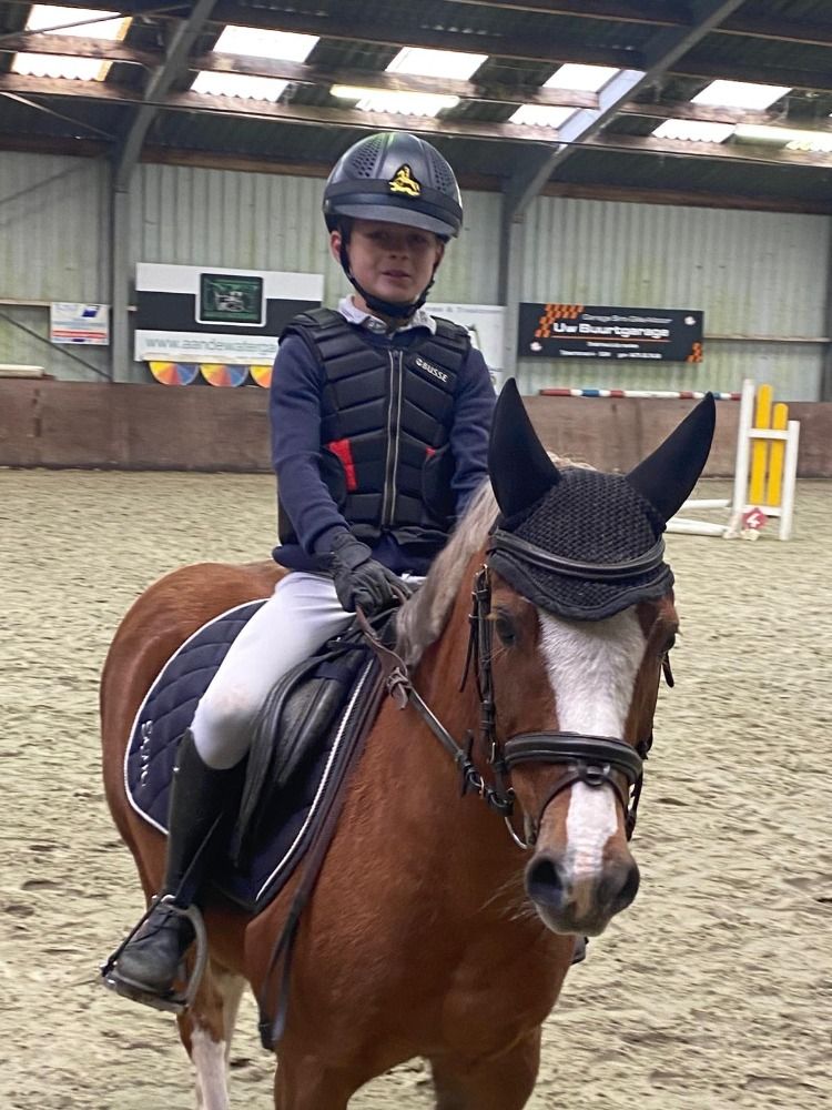 11-jarige B pony