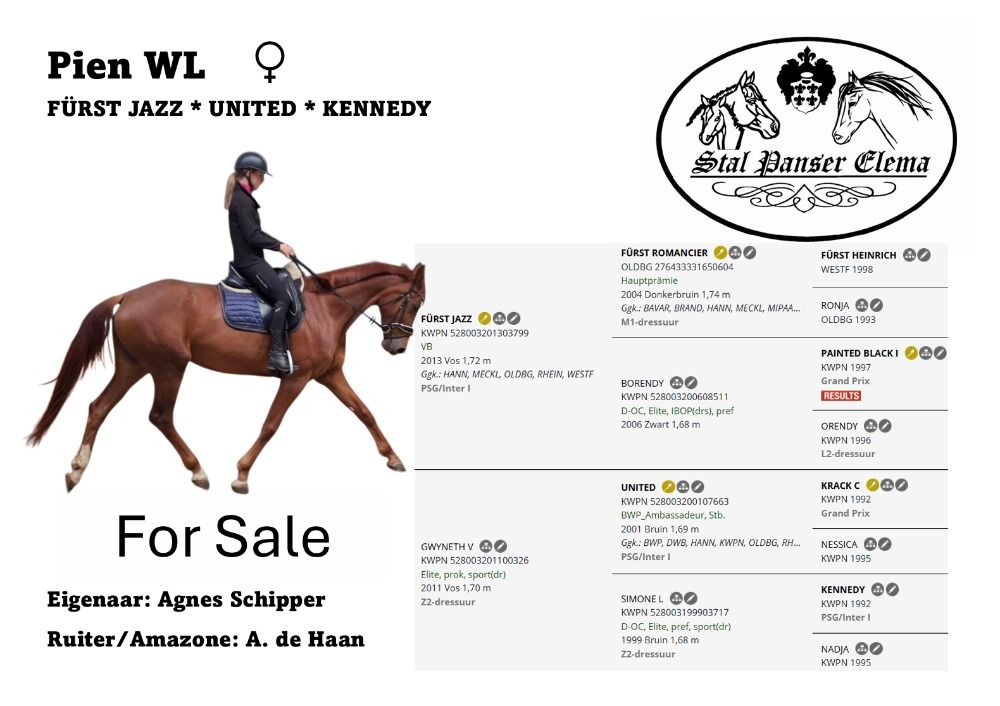 Verkocht Pien WL 5-Jarige (Furst Jazz x United x Kennedy) Moet weg, lagere Prijsklasse!!!!!