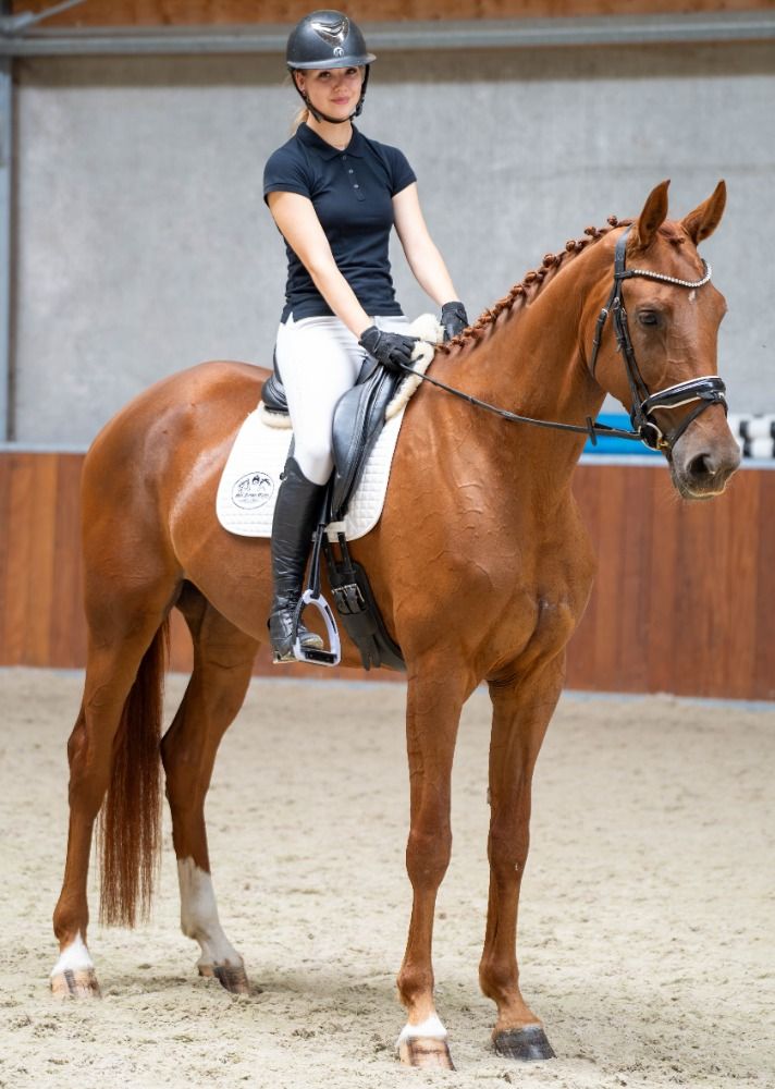 KWPN dressuurpaard Merrie 5 jaar Vos te koop - Foto 4