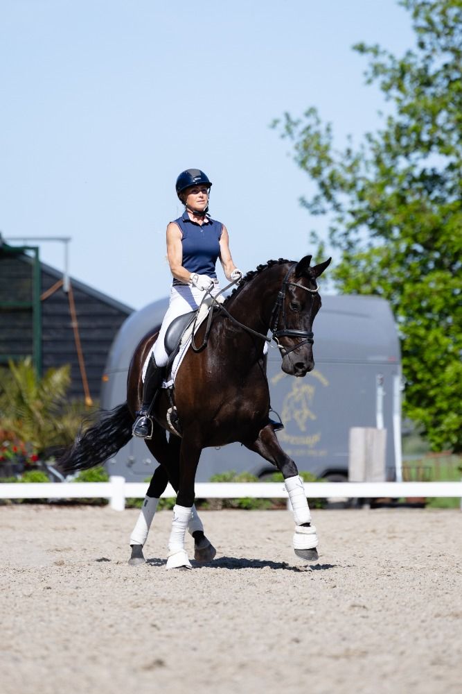 KWPN dressuurpaard Merrie 8 jaar Zwart te koop - Foto 4