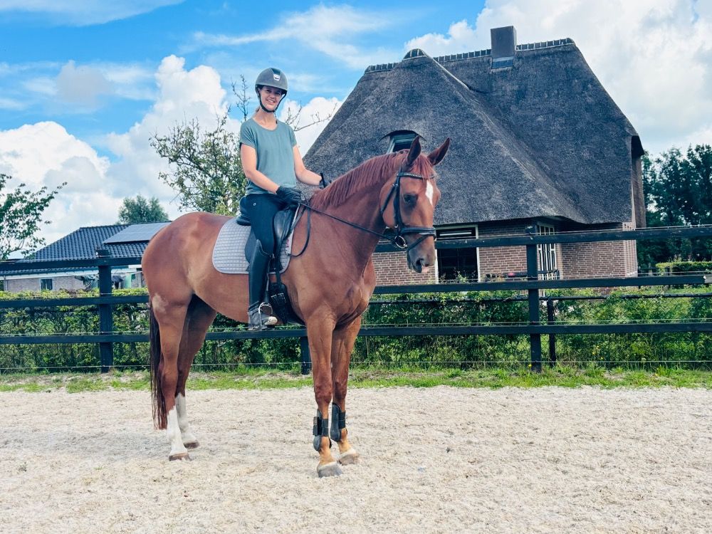 KWPN dressuurpaard Merrie 6 jaar Vos te koop - Foto 4