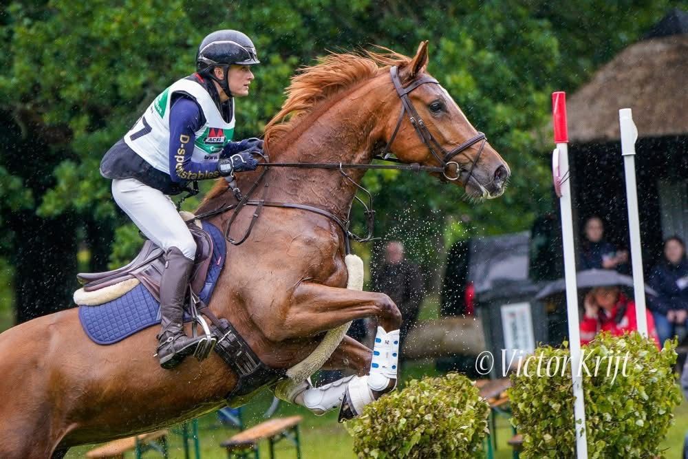 The perfect junior horse!