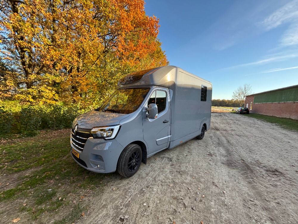 STX Master Pferdetransporter 2.3D 120KW 2024 Schimmel