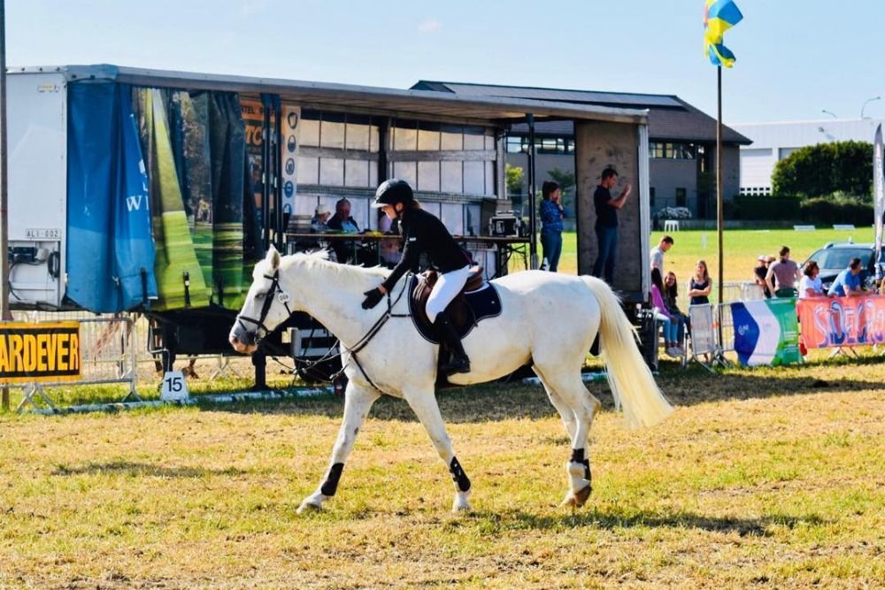 Ideaal leerpaard