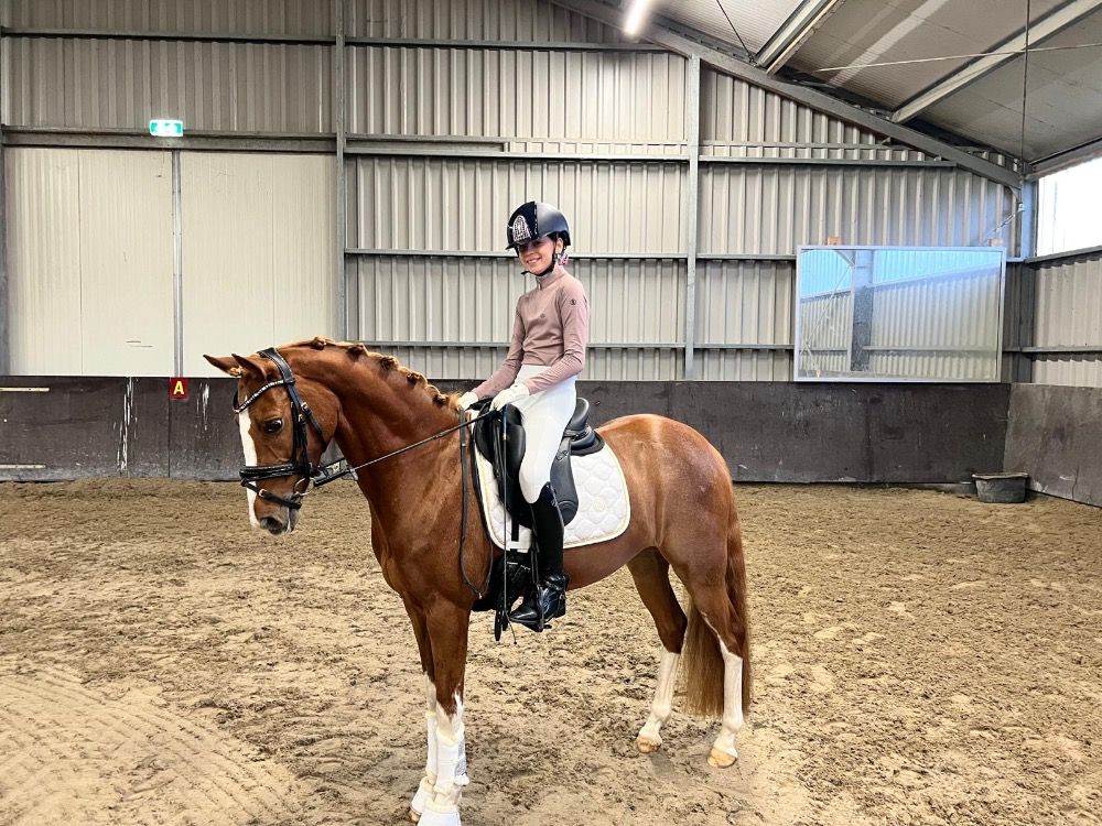 Welsh dressuurpony Merrie 13 jaar Vos te koop - Foto 3