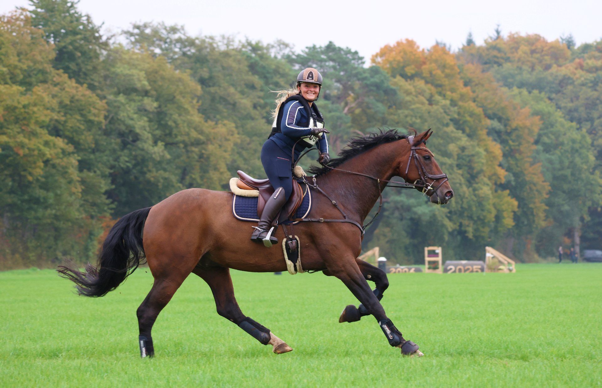 westfalen eventingpaard ruin 16 سنوات bruin للبيع - صورة 2