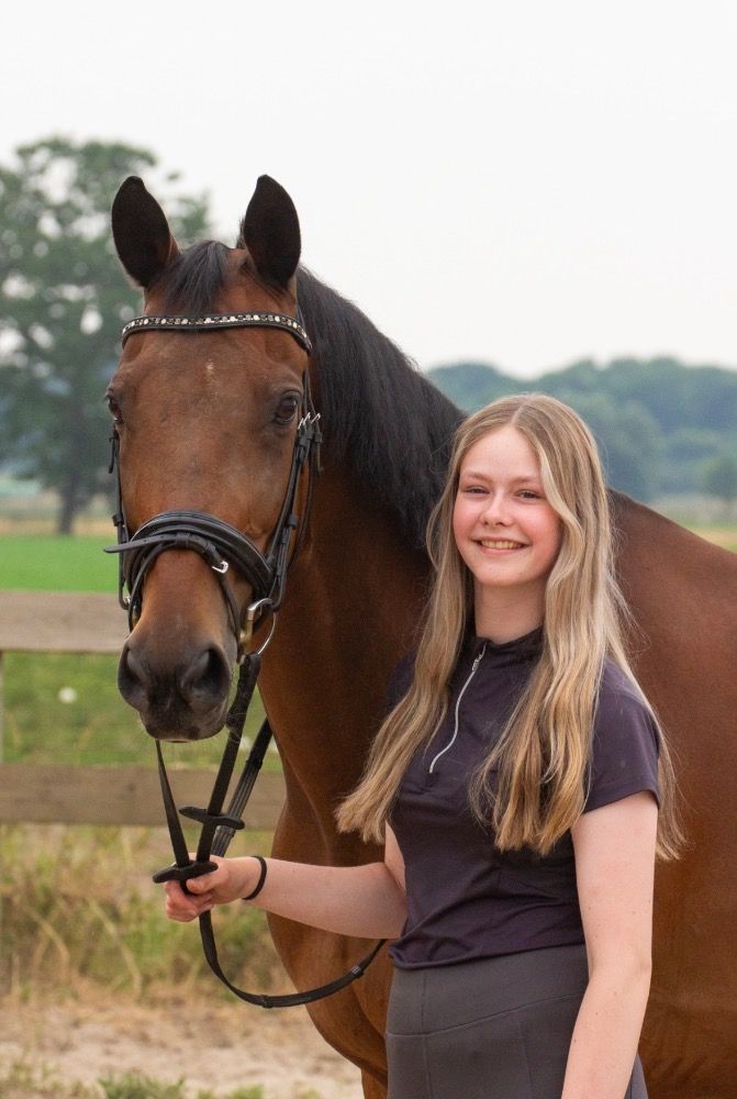 KWPN recreatie paard Ruin 15 years old Bruin for sale - Photo 2