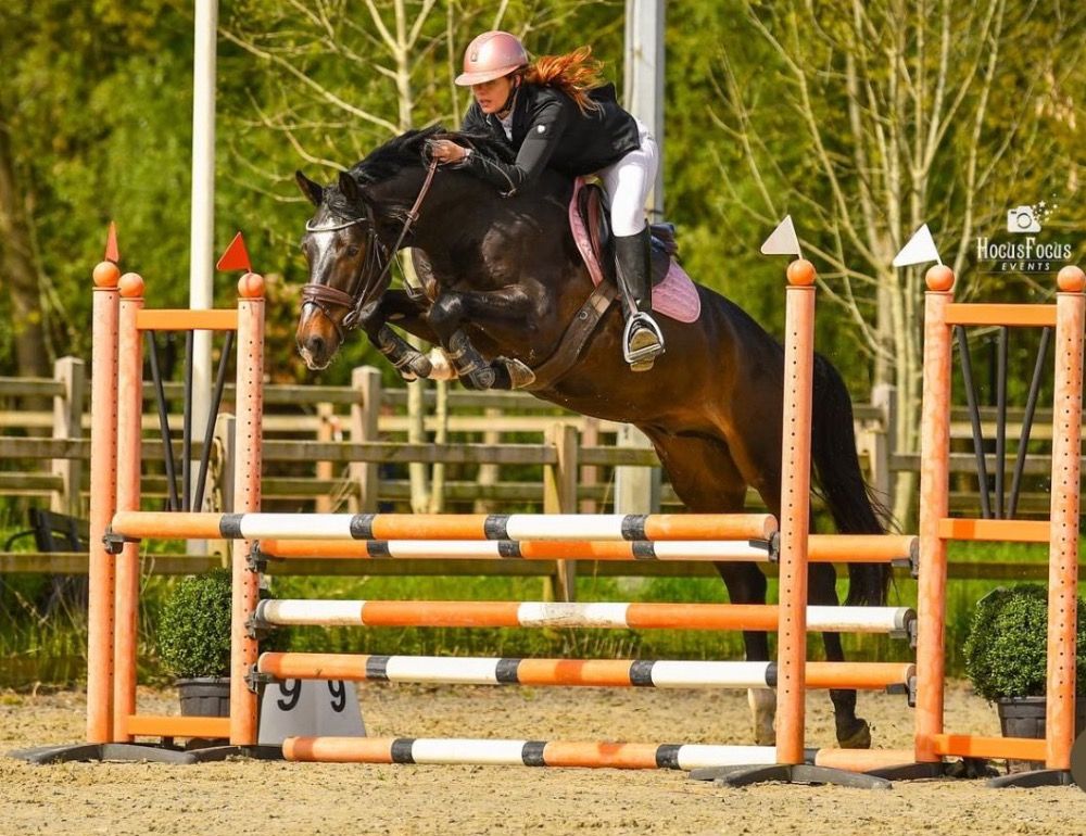 Expressief dressuurpaard. Veel potentie voor dressuur & eventing