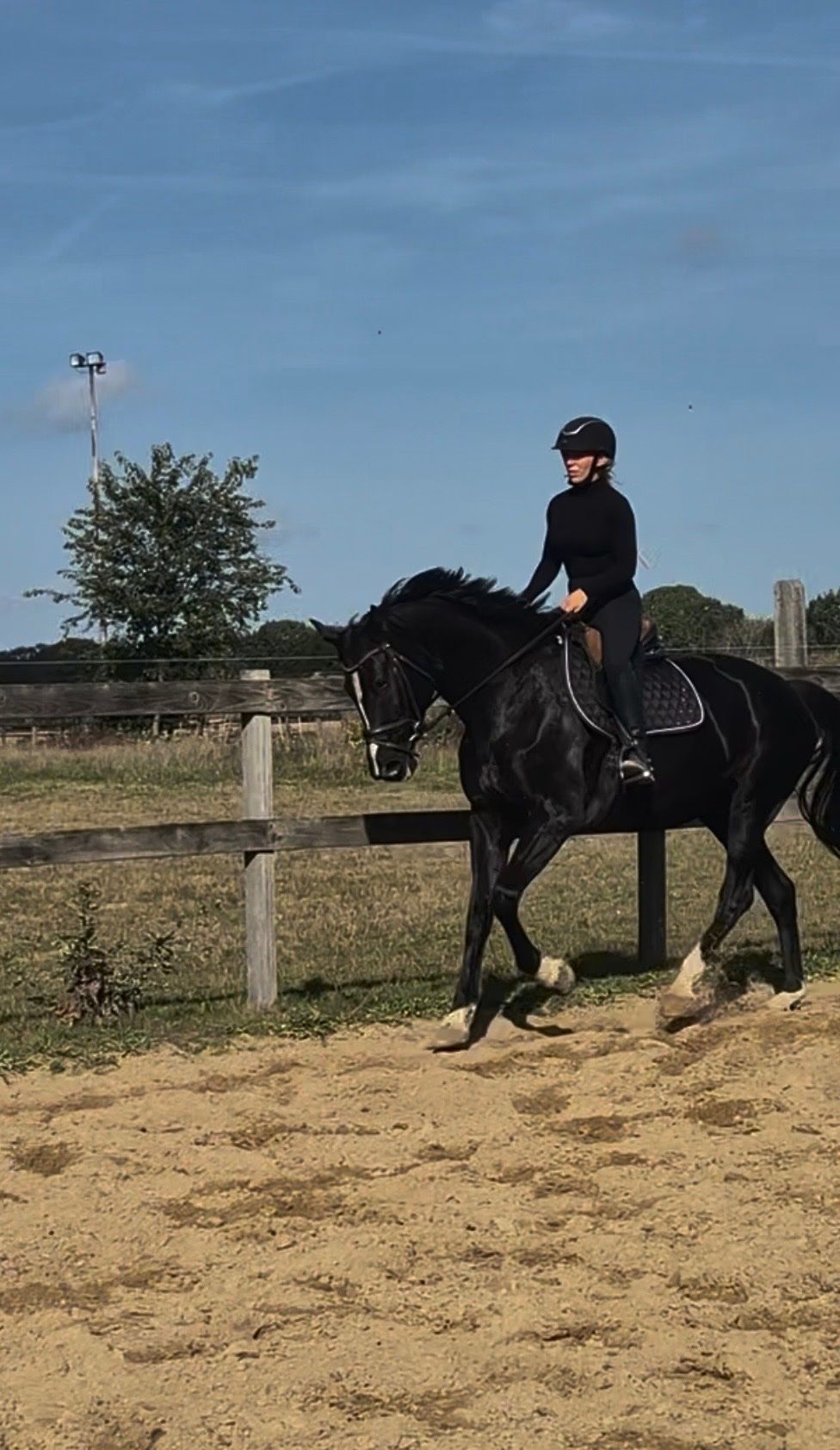 dressuurpaard merrie 8 let zwart na prodej - Foto 3