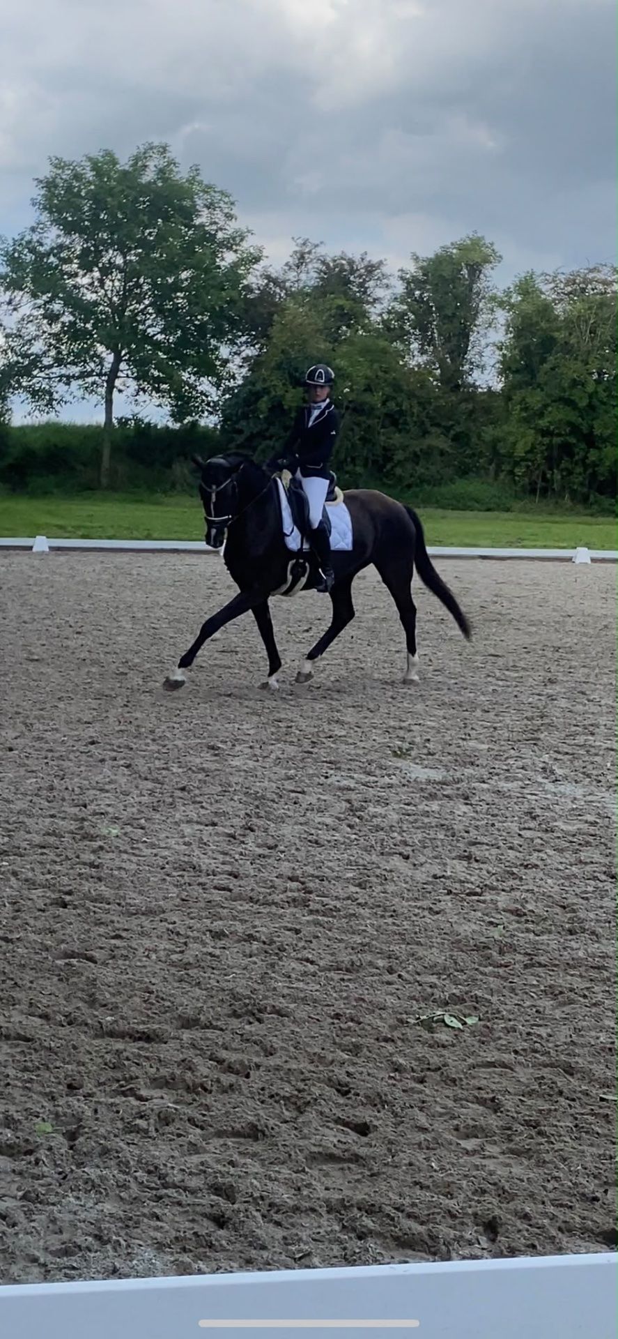 dressuurpaard merrie 8 let zwart na prodej - Foto 6