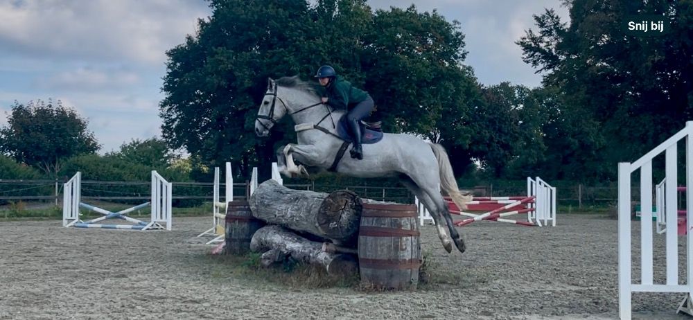 Super fijne allrounder