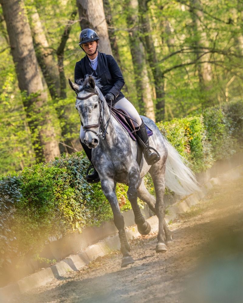 springpaard Merrie 5 jaar te koop - Foto 4