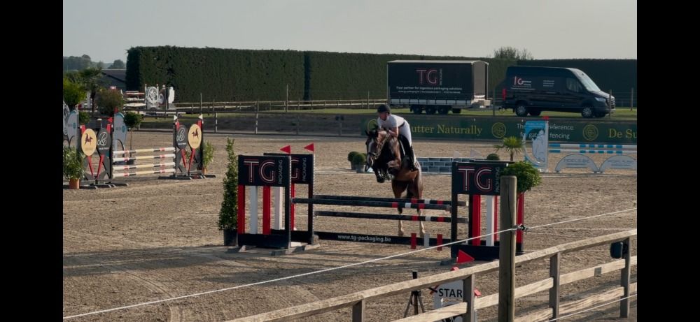 5-jarige merrie