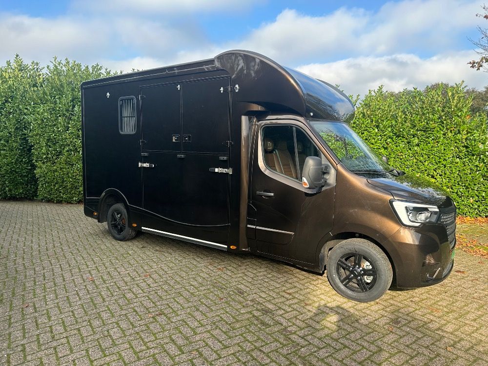 Horse truck / Horse lorry Renault Master / ATM NEW 2025 Stallion version BPM FREE!