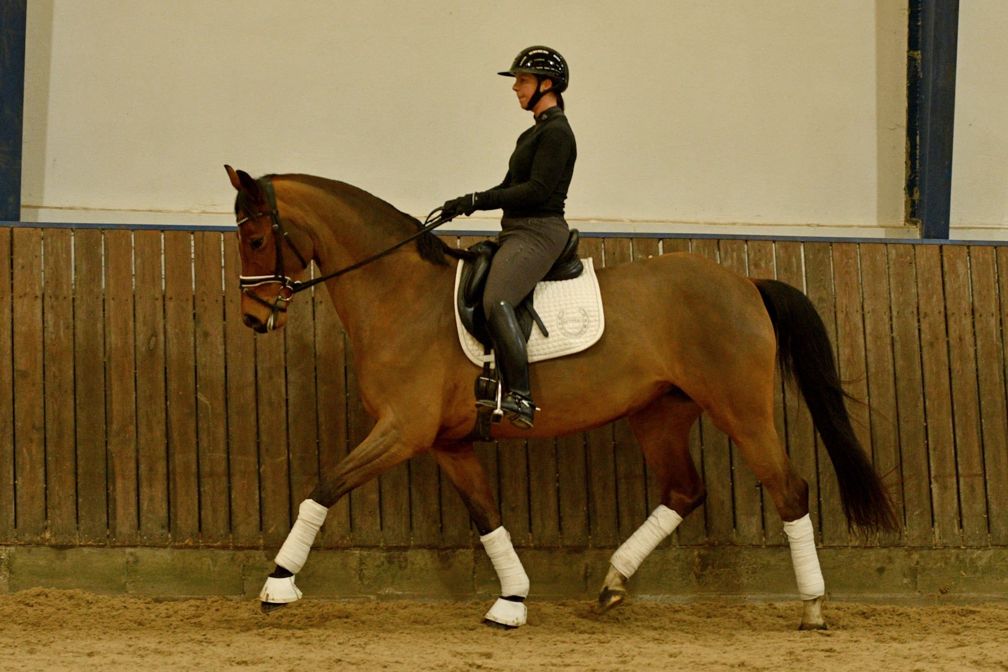 Danish Warmblood dressage mare 7 years år Black till salu - Foto 2