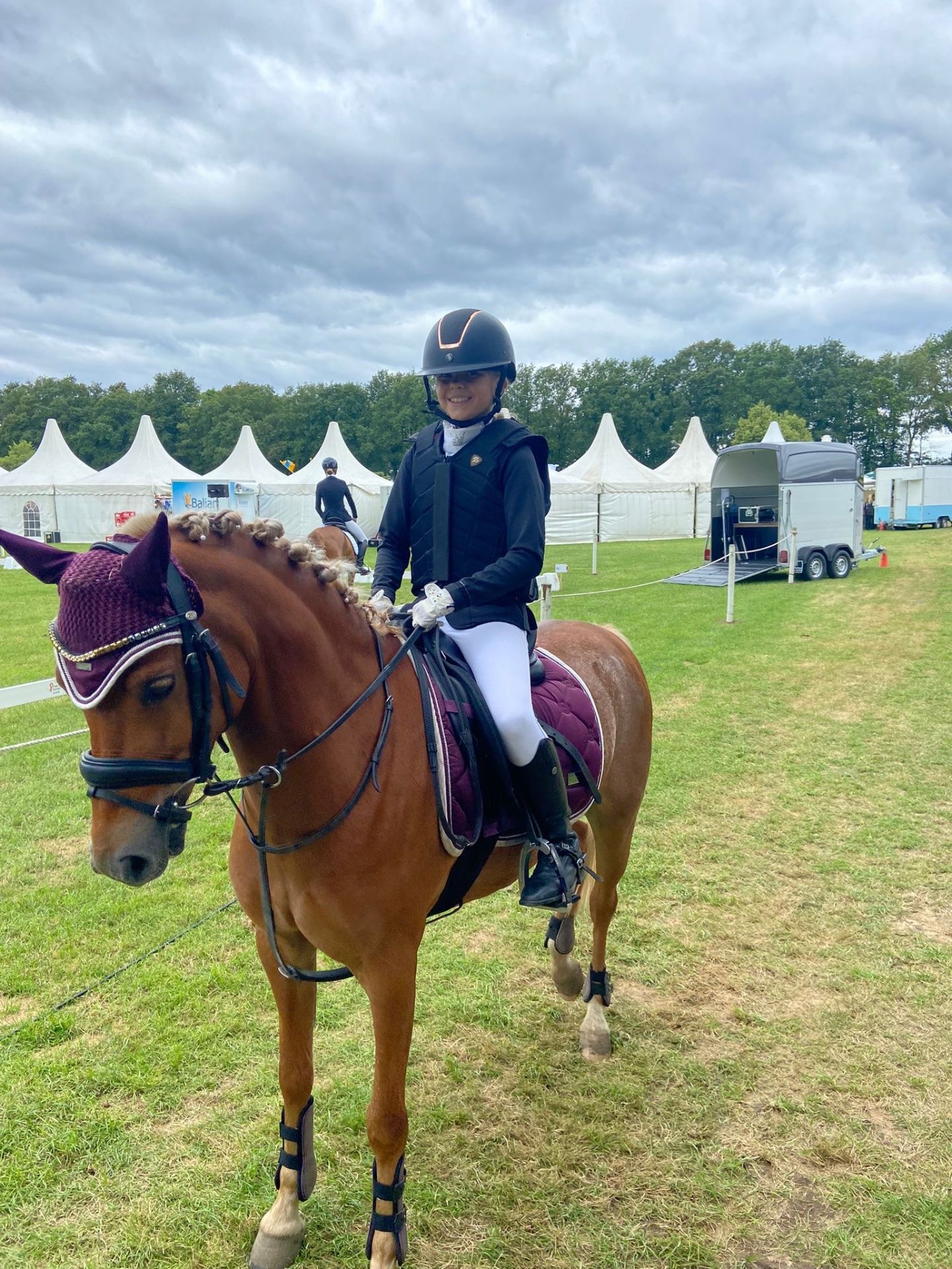 welsh allround-pony ruin 9 سنوات vos للبيع - صورة 6
