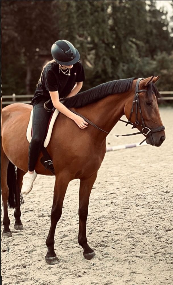 Appaloosa pony allround-pony Ruin 6 jaar Bruin te koop - Foto 2