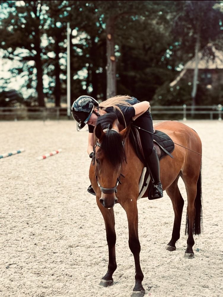 Appaloosa pony allround-pony Ruin 6 jaar Bruin te koop - Foto 5