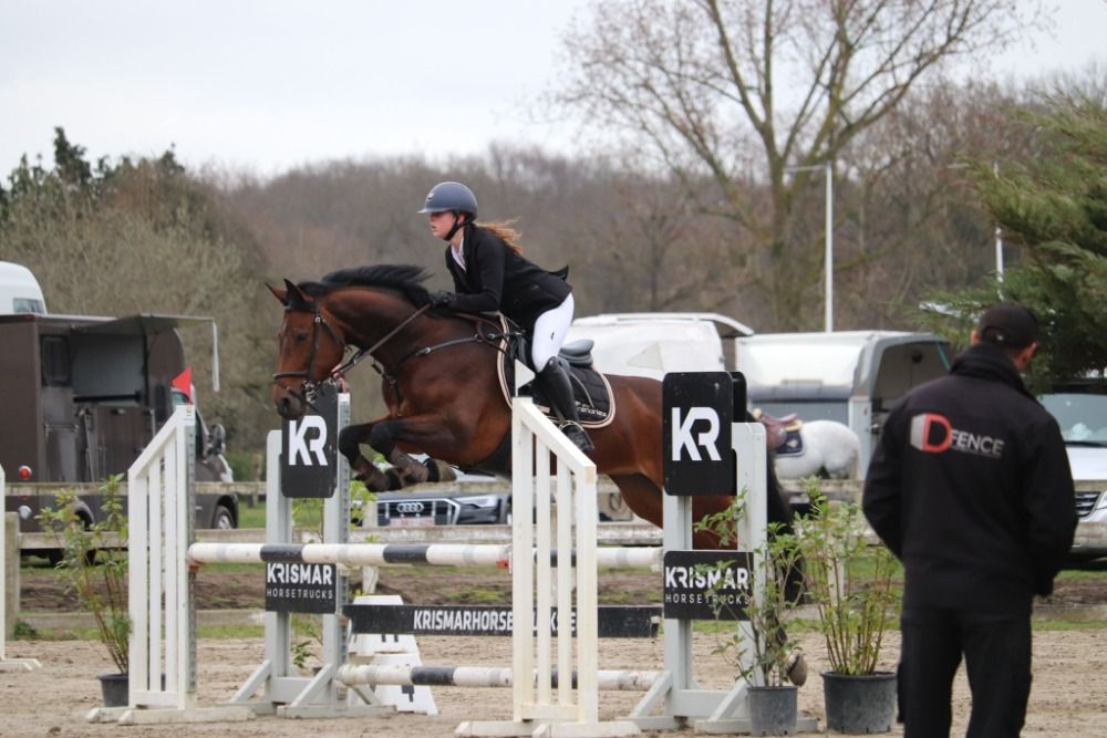 Ander stamboek springpaard Merrie 10 jaar Bruin te koop - Hoofdfoto