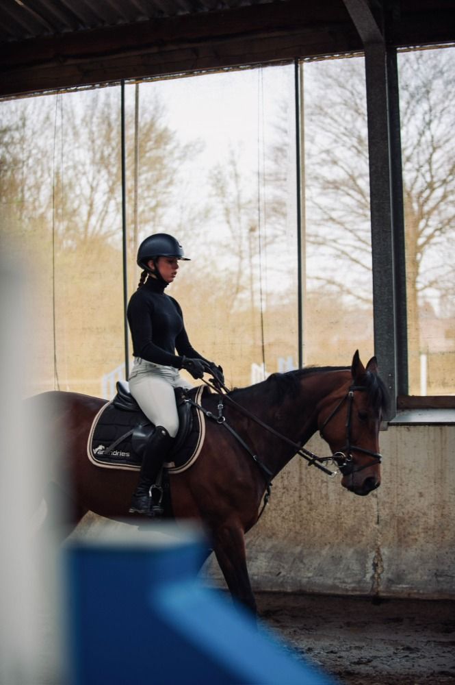 Ander stamboek springpaard Merrie 10 jaar Bruin te koop - Foto 3
