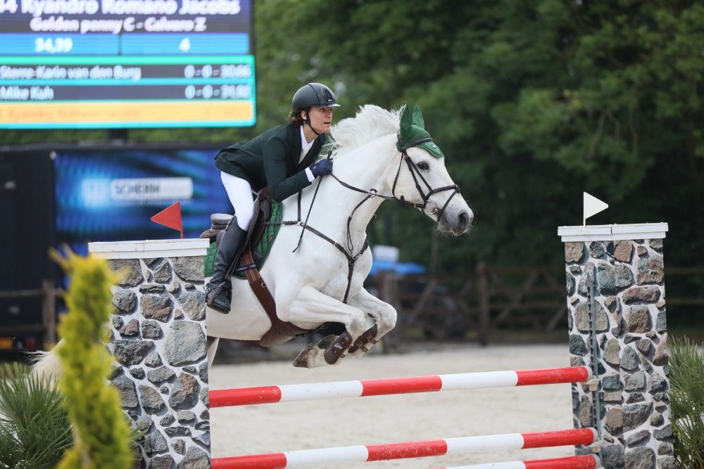BWP springpaard Merrie 19 jaar Schimmel te koop - Foto 3