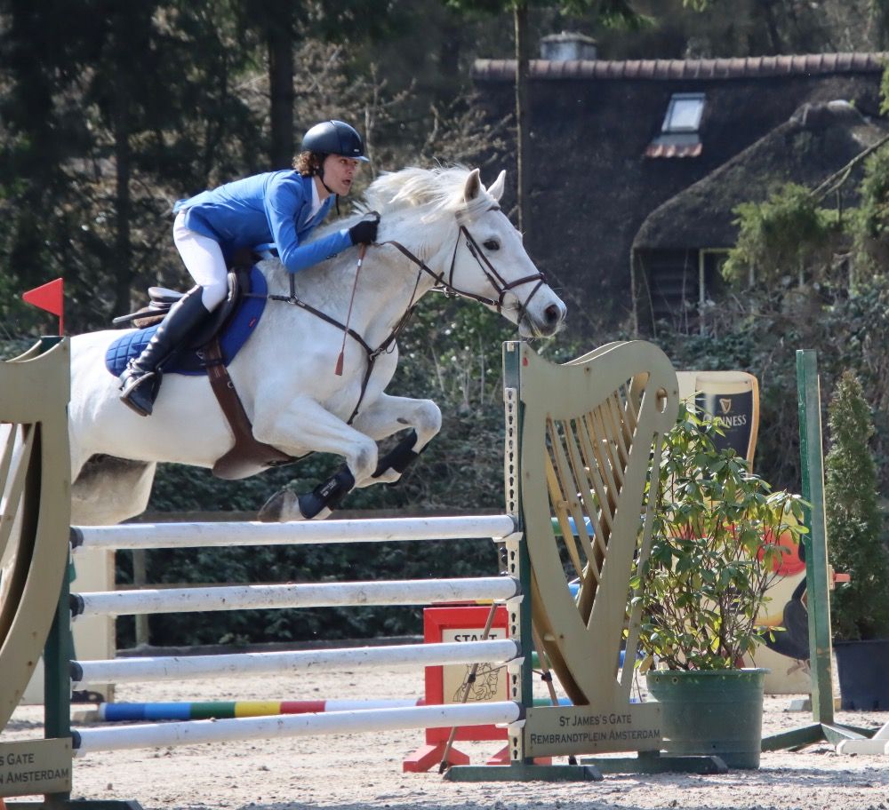 BWP springpaard Merrie 19 jaar Schimmel te koop - Foto 6