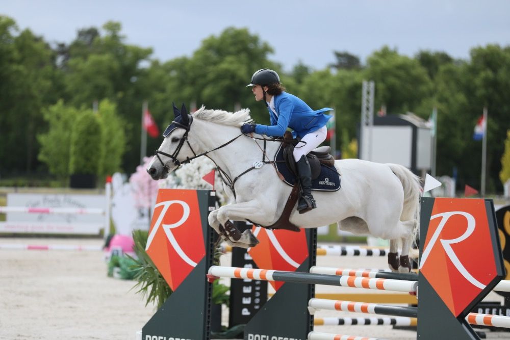 BWP springpaard Merrie 19 jaar Schimmel te koop - Foto 2