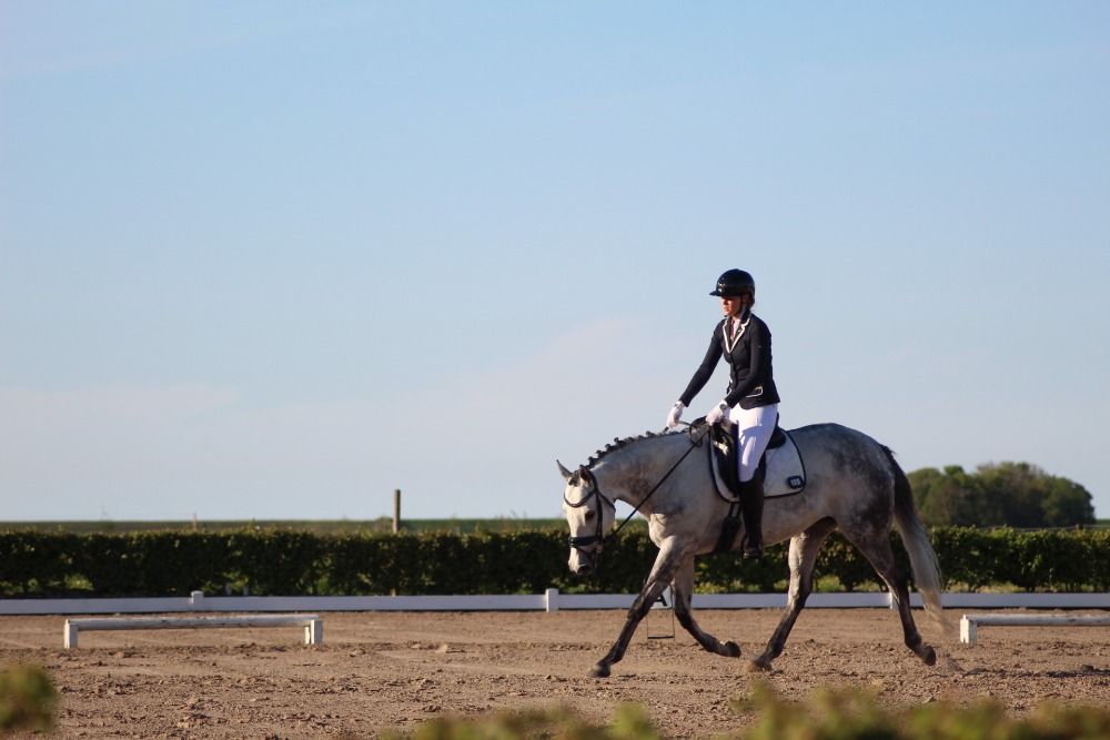 7 jarige ruin te koop