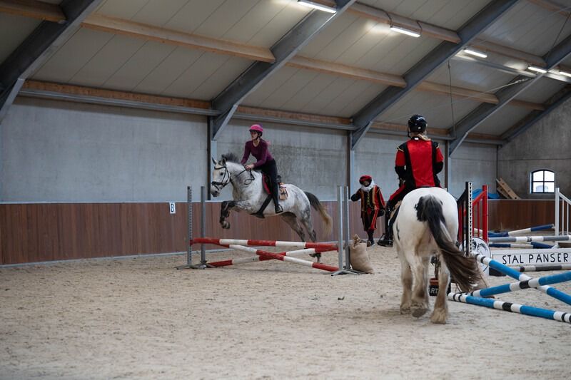 Volbloed paard Ruin 7 jaar Schimmel te koop - Foto 3