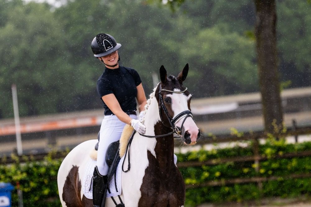 KWPN dressuurpaard Merrie 5 jaar Andere te koop - Foto 5
