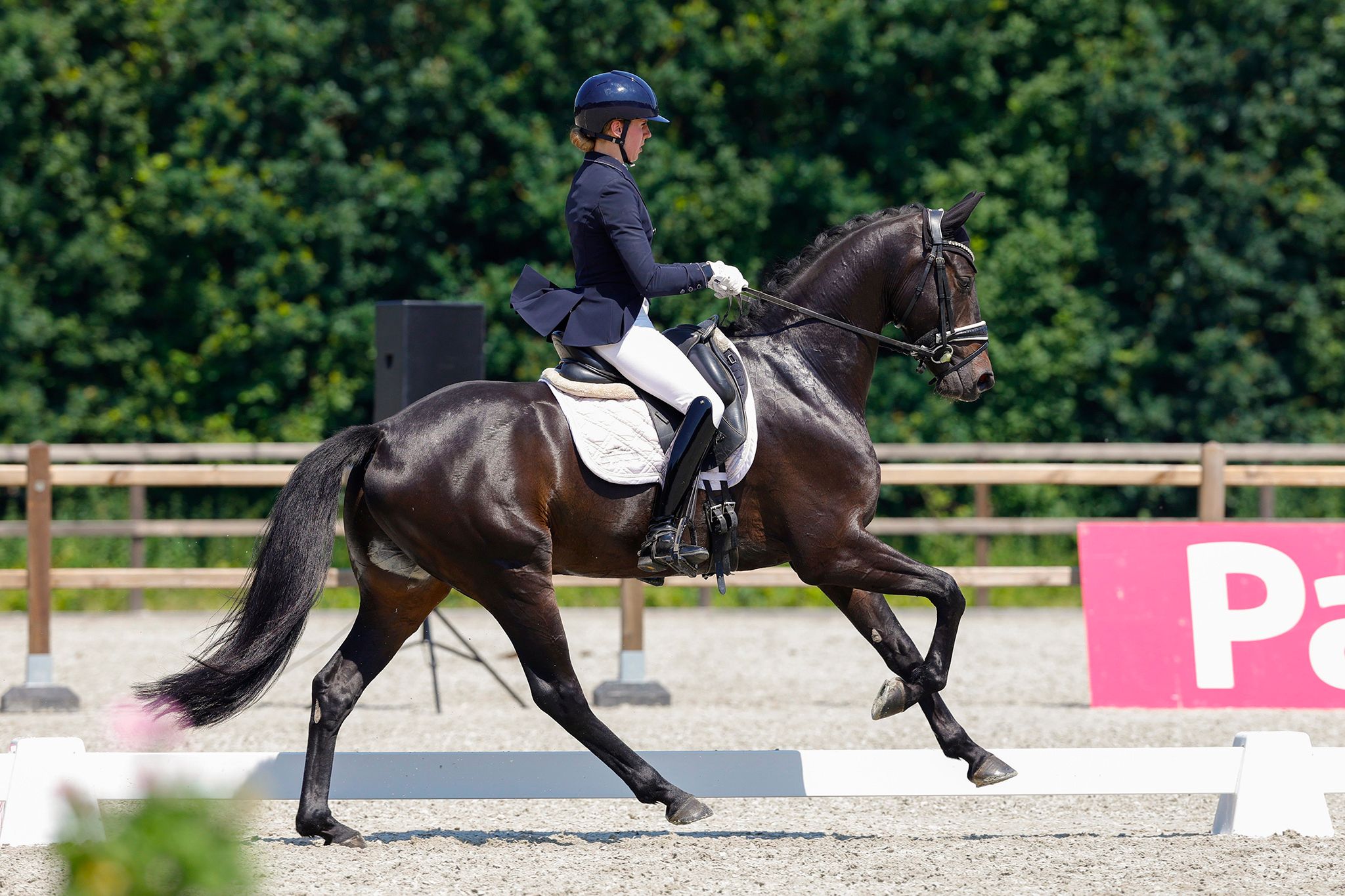KWPN dressuurpaard Merrie 5 jaar Bruin te koop - Foto 2