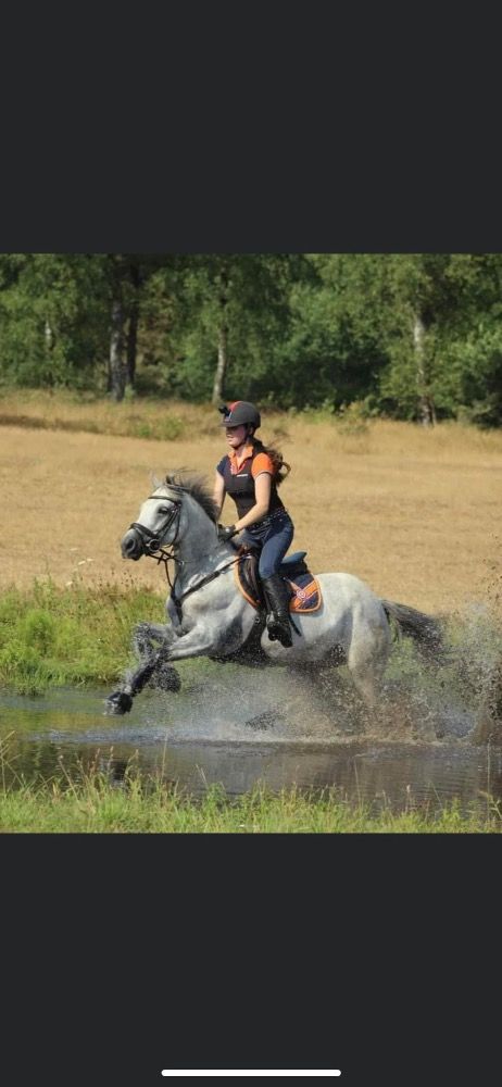 BWP allround-pony Merrie Andere te koop - Foto 5