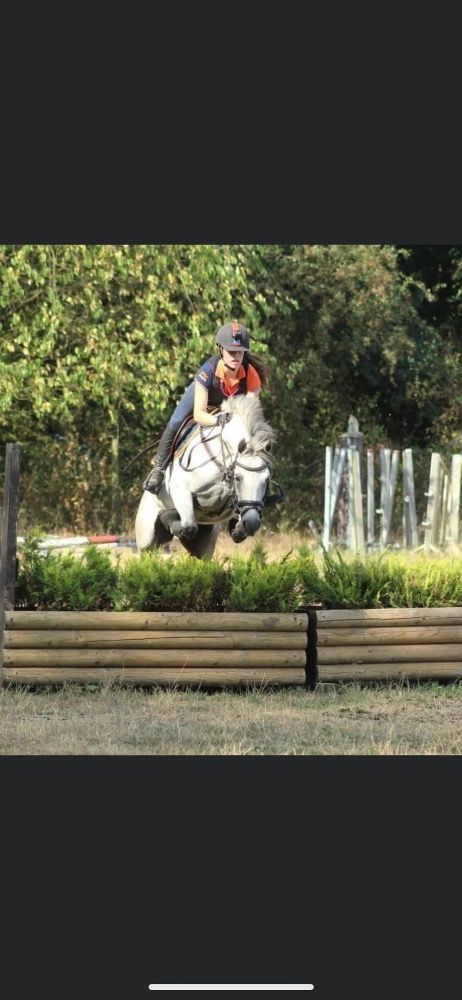 BWP allround-pony Merrie Andere te koop - Foto 3
