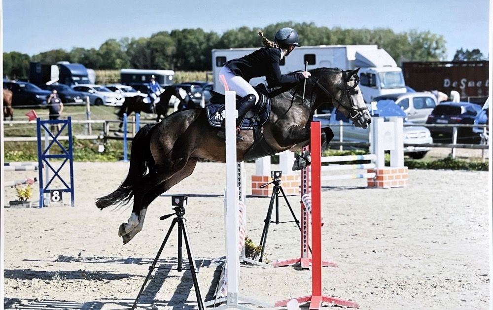 BWP allround-pony Merrie Andere te koop - Foto 2