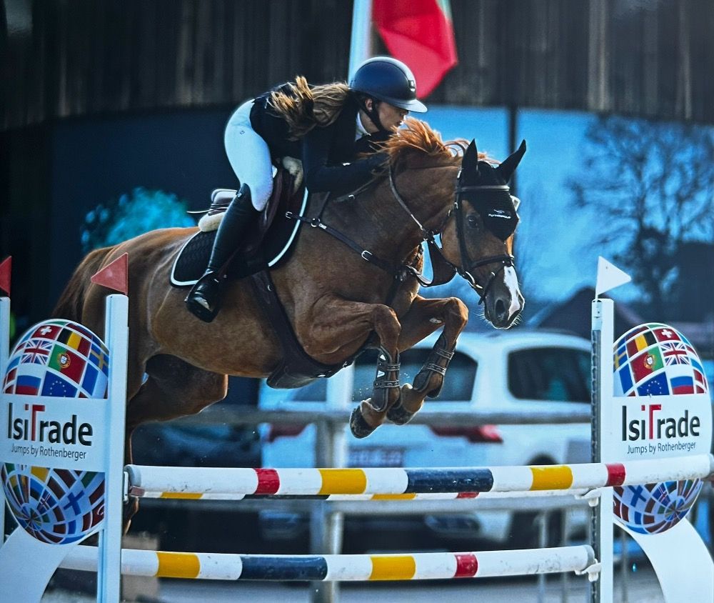 Ander stamboek springpaard Merrie 9 jaar Vos te koop - Foto 5