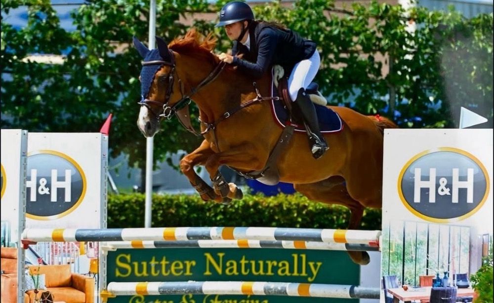 Ander stamboek springpaard Merrie 9 jaar Vos te koop - Foto 4