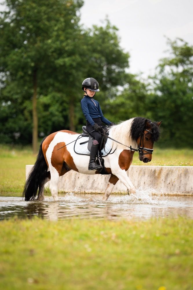 Geweldige B-pony