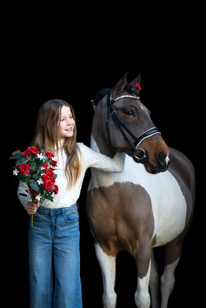 dressuurpony Ruin 16 jaar Bruin te koop - Foto 3