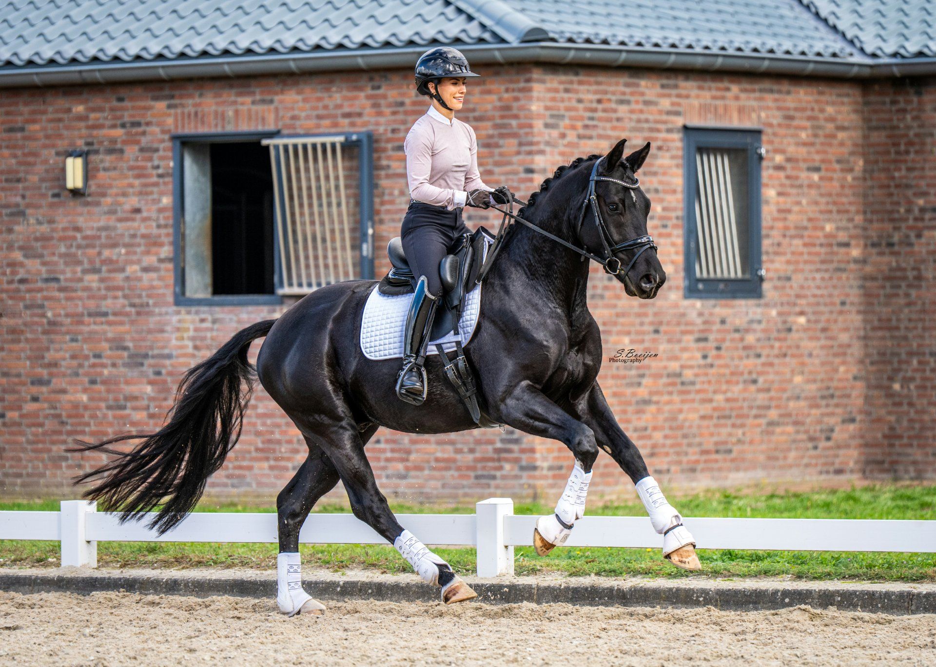 Dressuurpaard, Ruin, 4 jaar