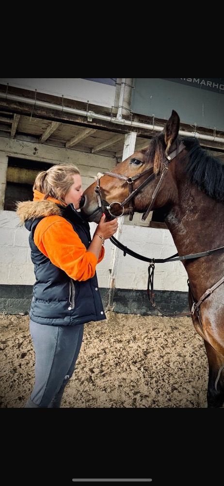 allround-pony Merrie 7 jaar Bruin te koop - Foto 2