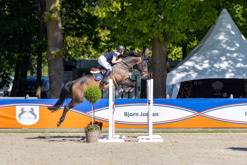 18 -jarige ruin
