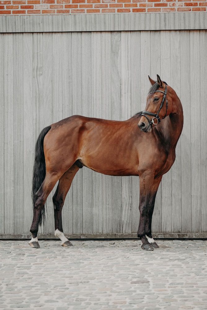 6 jarige ruin!