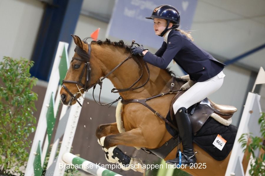 Knappe en topfitte D pony zz dressuur geklasseerd