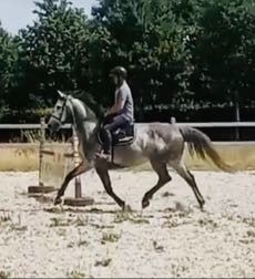 Zr brave bloedgemaakte 5 jarige ruin