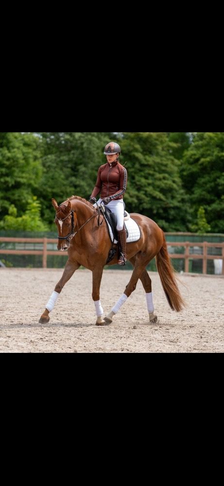 KWPN dressuurpaard Ruin 5 jaar Vos te koop - Foto 2