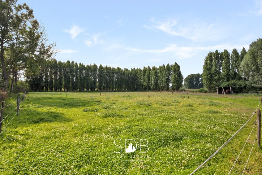 Hedendaagse villa met gezinstuin en graslanden op 7.496m2 te Destelbergen | België - Foto 6